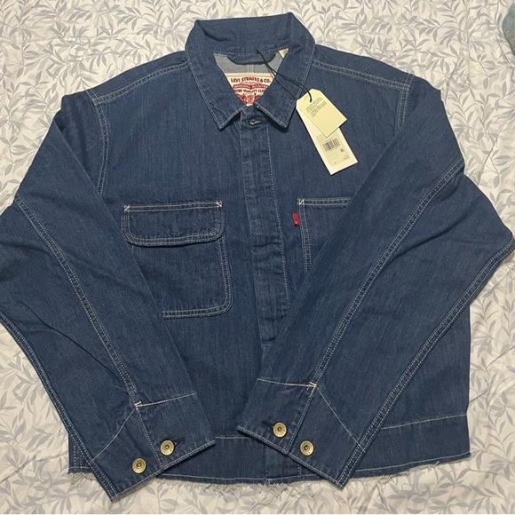 Levi - Picture 3 of 3